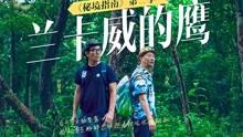 动物记忆大翻牌