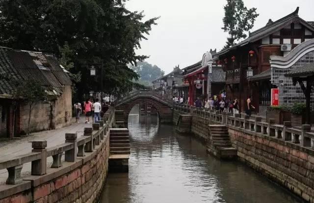 敏捷的白球